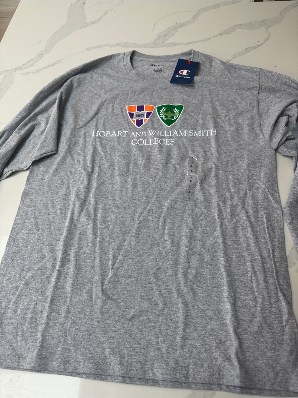 Champion Gray Hobart & William Smith Colleges Long-Sleeve Tee BNWT